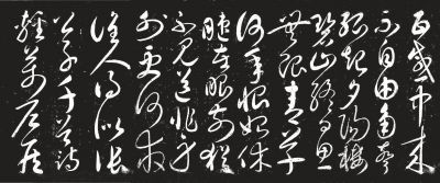 ̫鷨ϰʶֶ
