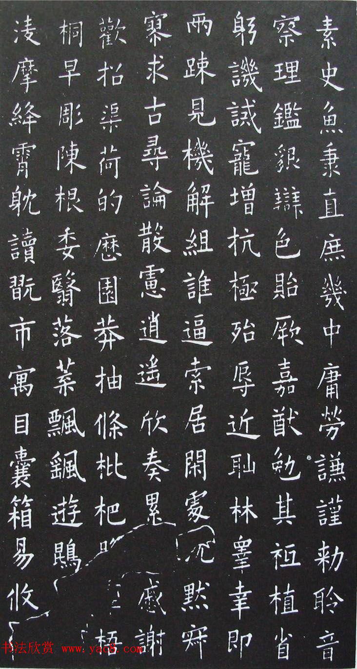 ƴ鷨ŷѯСǧġ