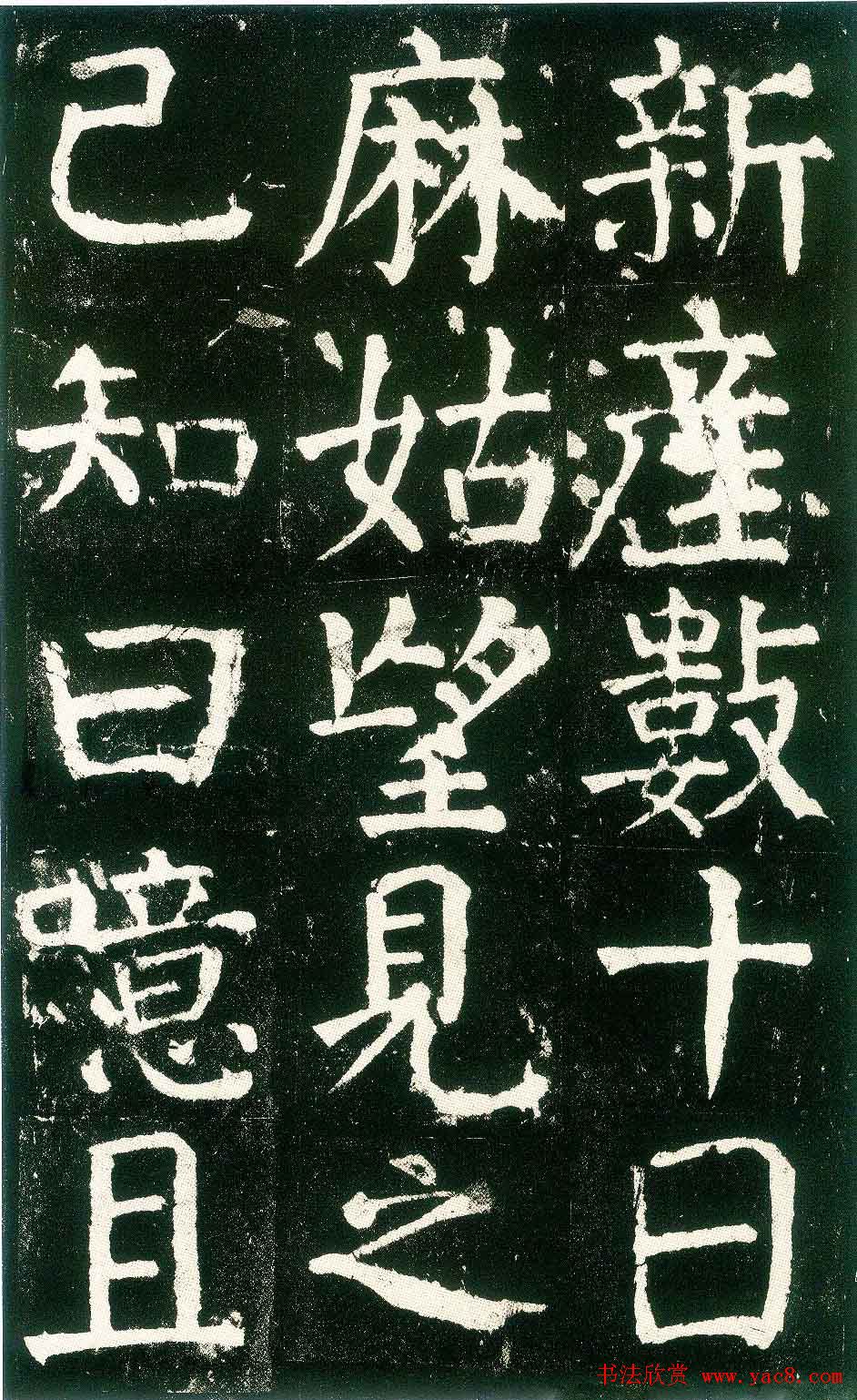 俬鷨̳͡ǡ