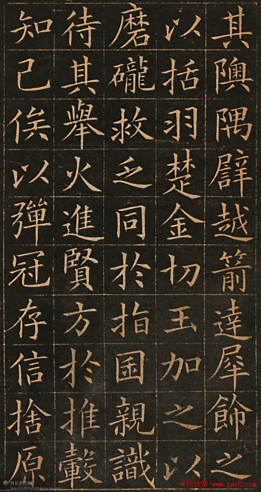ŷѯ鷨͡ʸ
