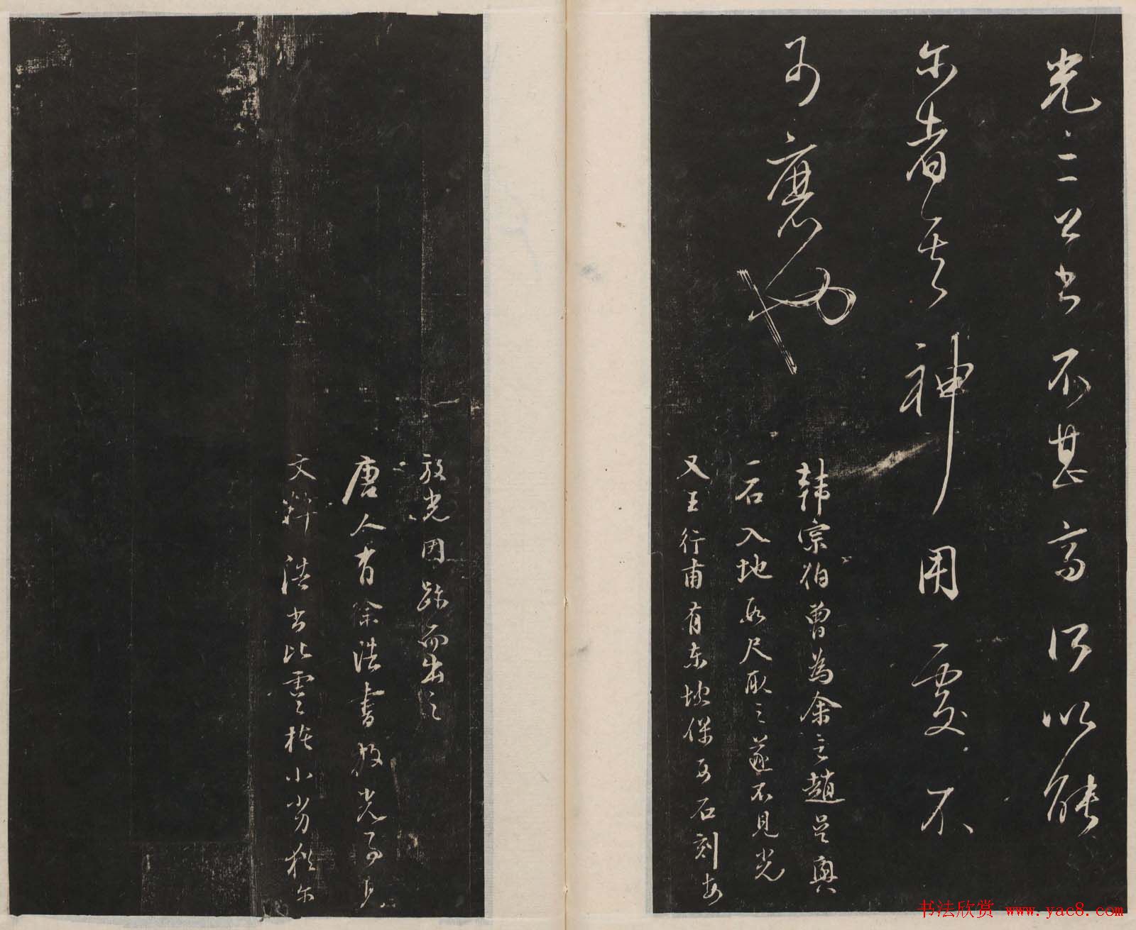 Ժᡶ޺ޡ
