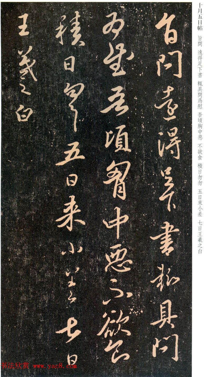 ֮в鷨͡ʮ͡ʮ