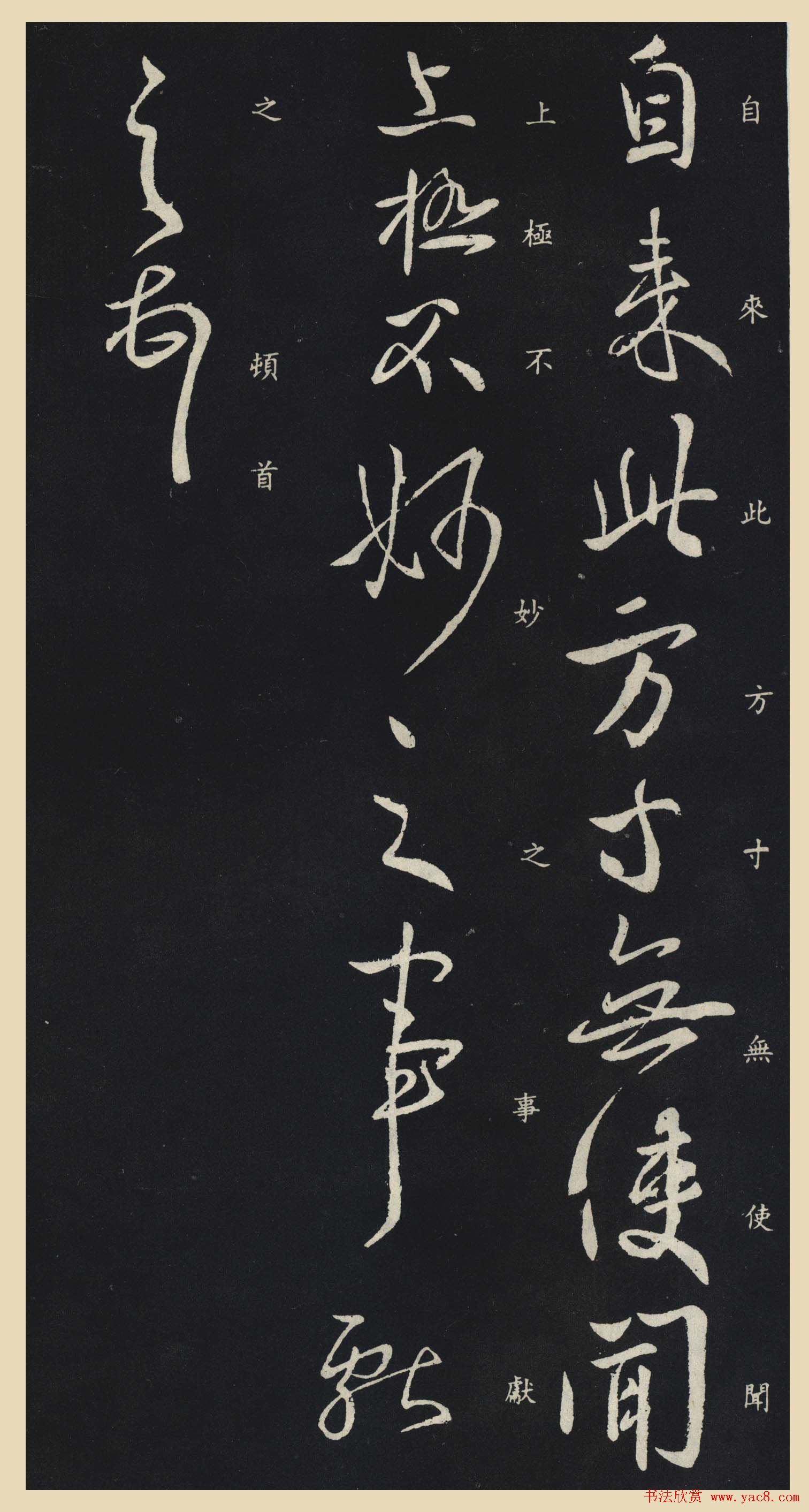 ֮в鷨ξ̱