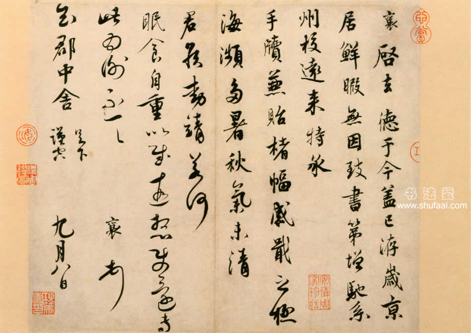 塡