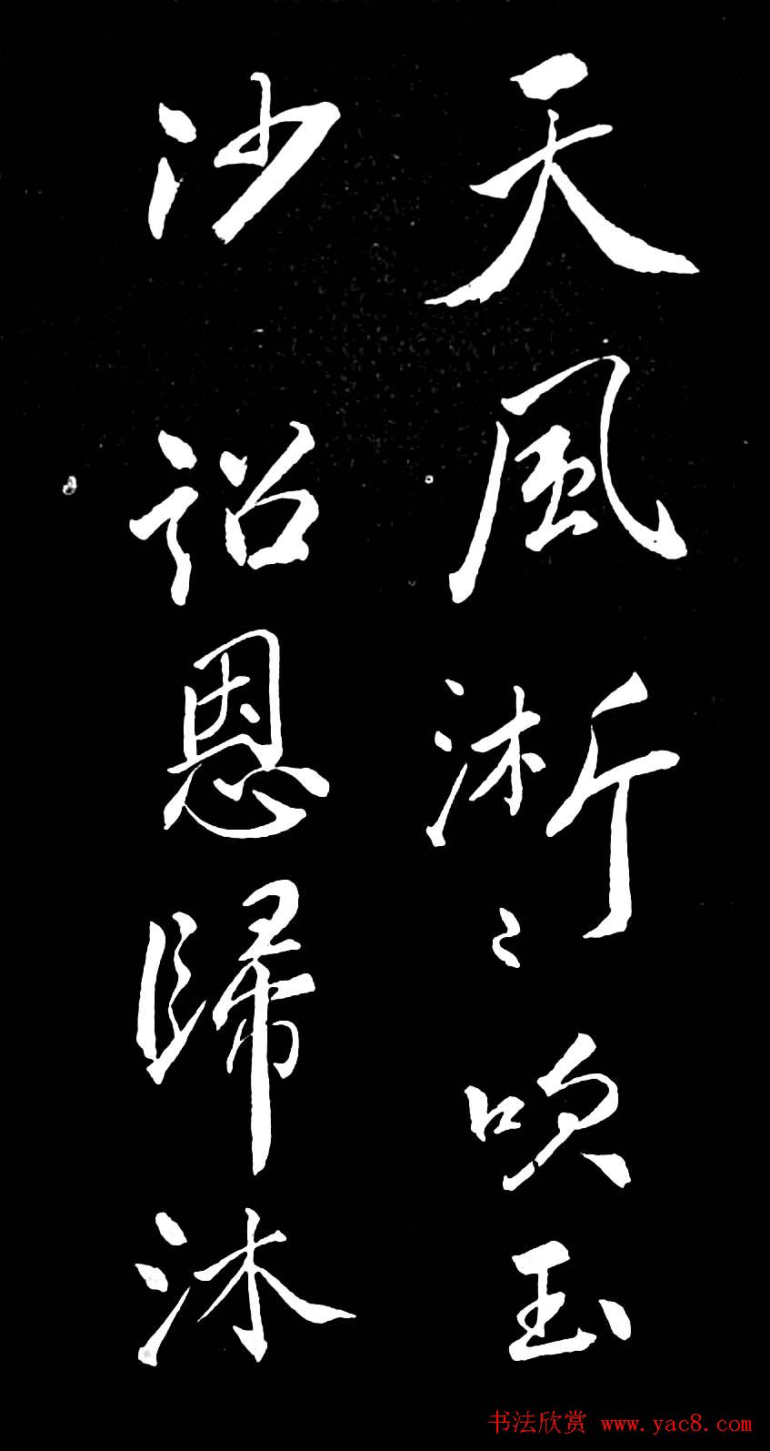 鷨͡ʫ