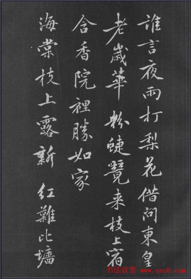 ͥп鷨滨ʫ