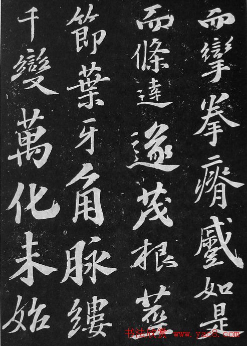 鷨Ժǡ