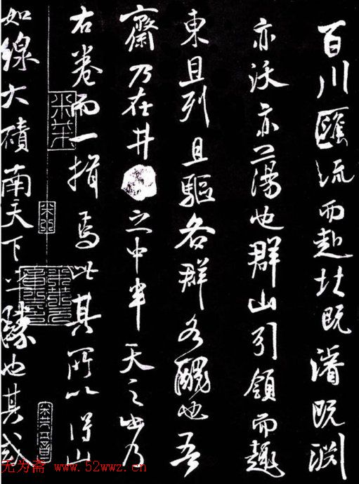 鷨իǡ