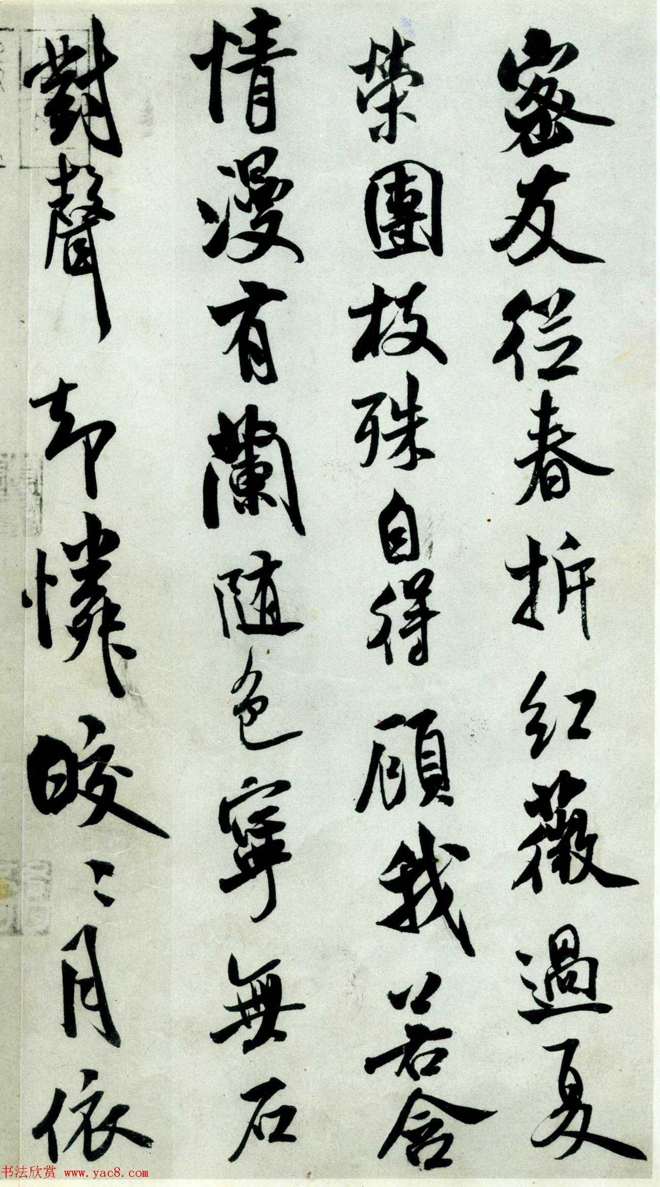 鷨Ϫʫ