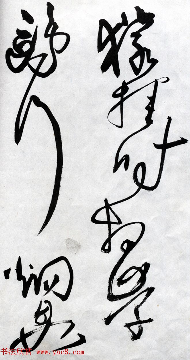 ˹鷨͡ʫ