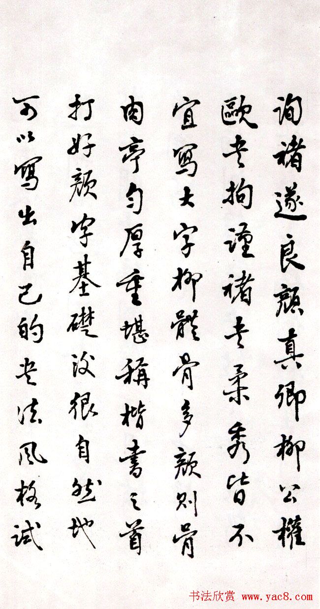 졶ʫ