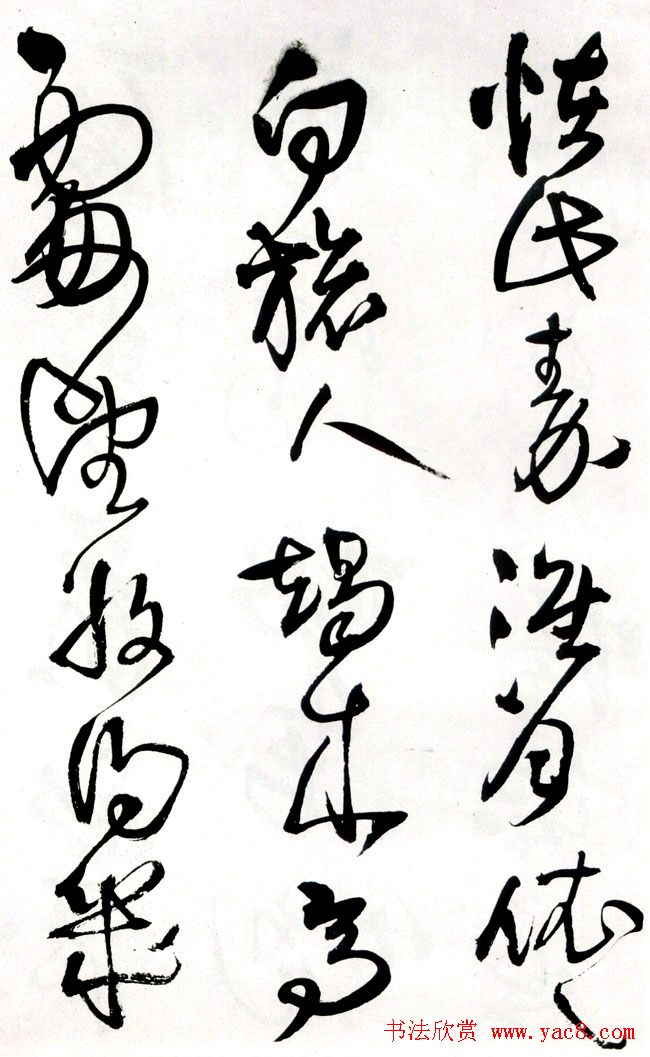 졶ʫ