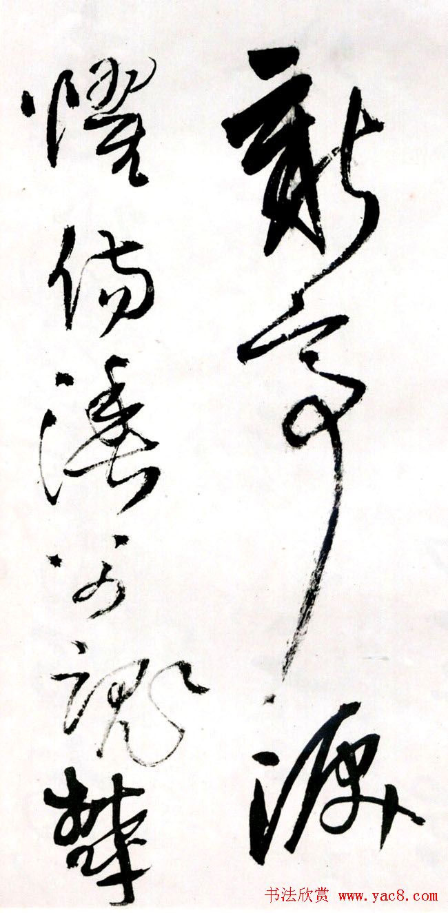 졶ʫ