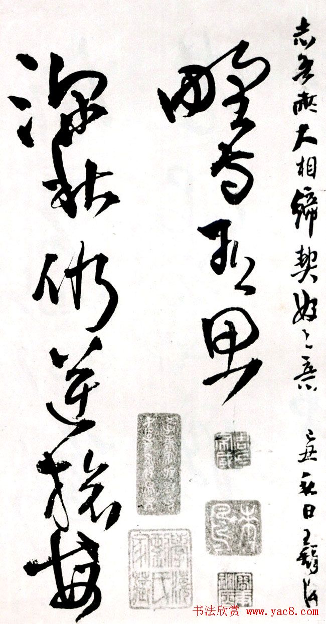 졶ʫ