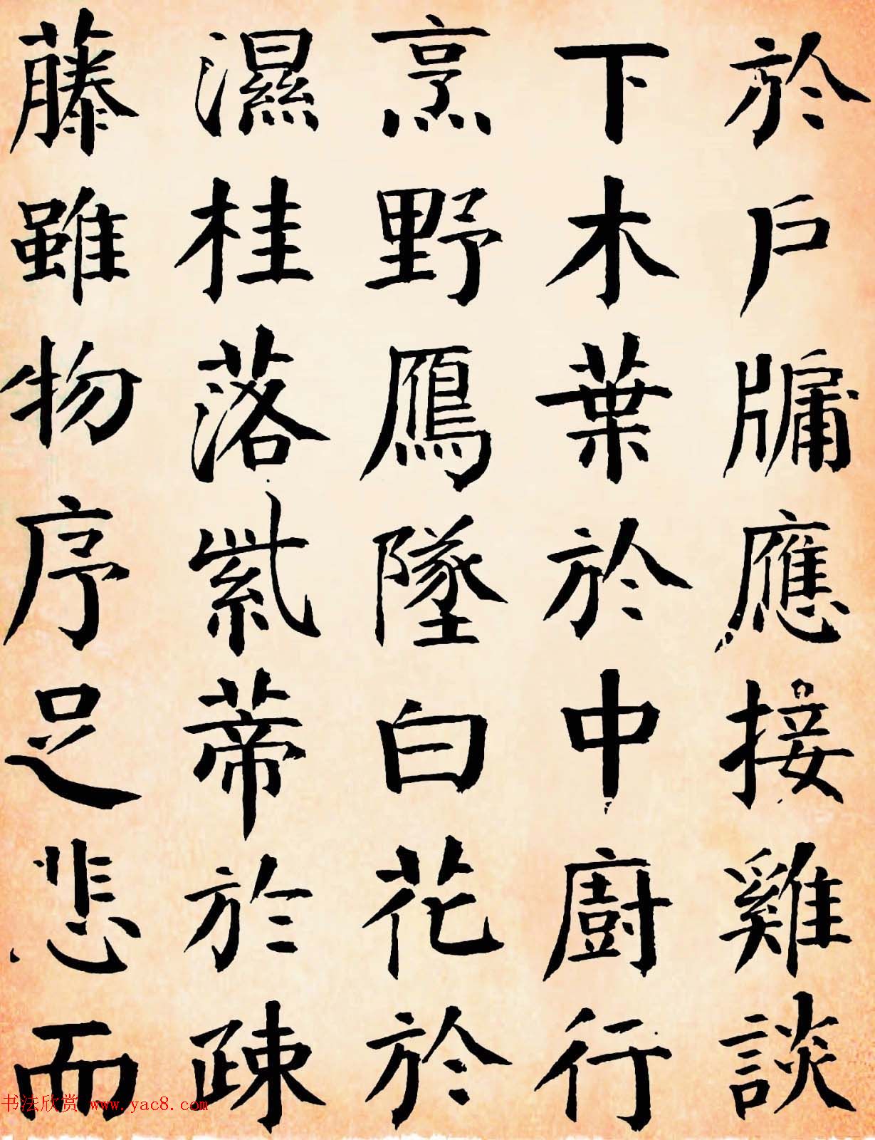 Ǯ鷨īðѰ+