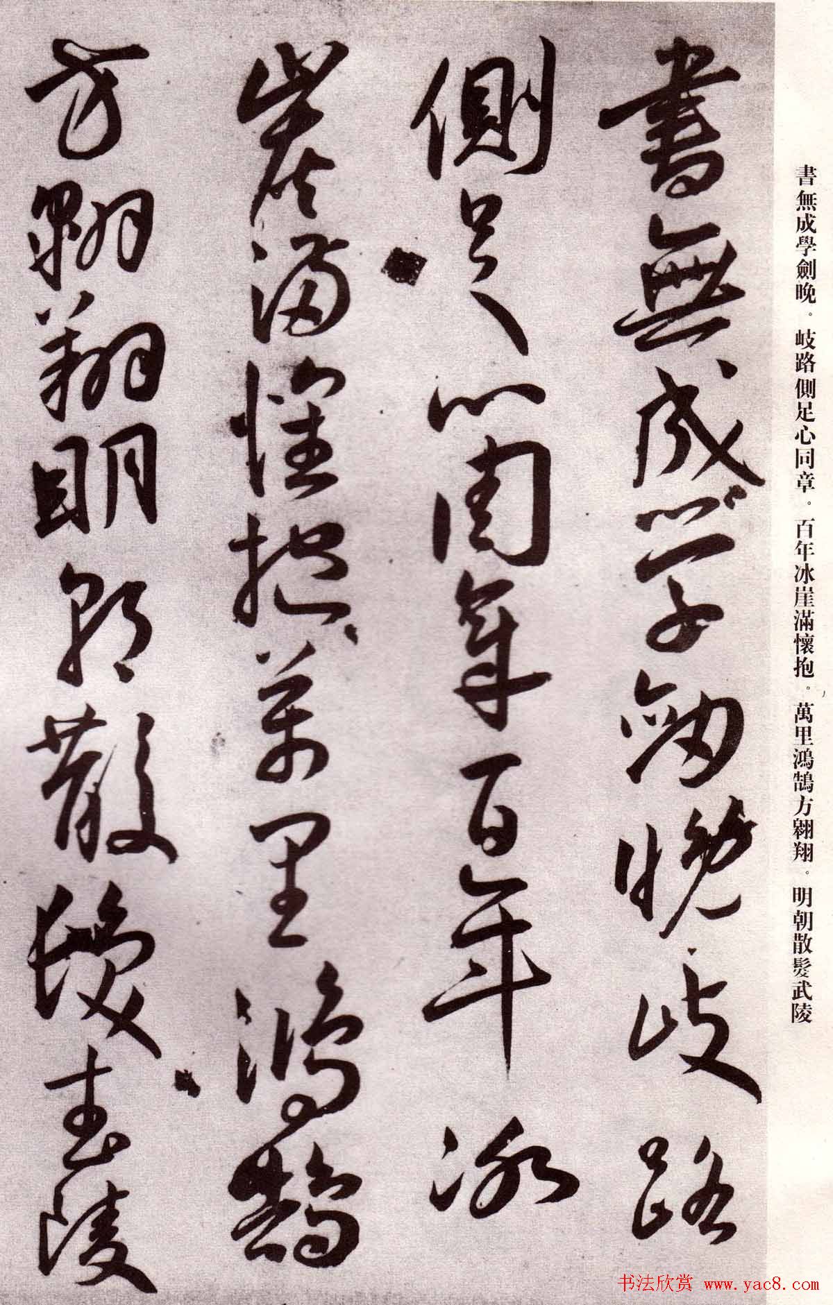 鷨вʫ