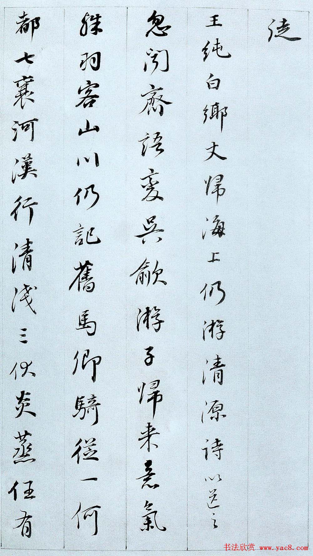 п鷨Сʫ