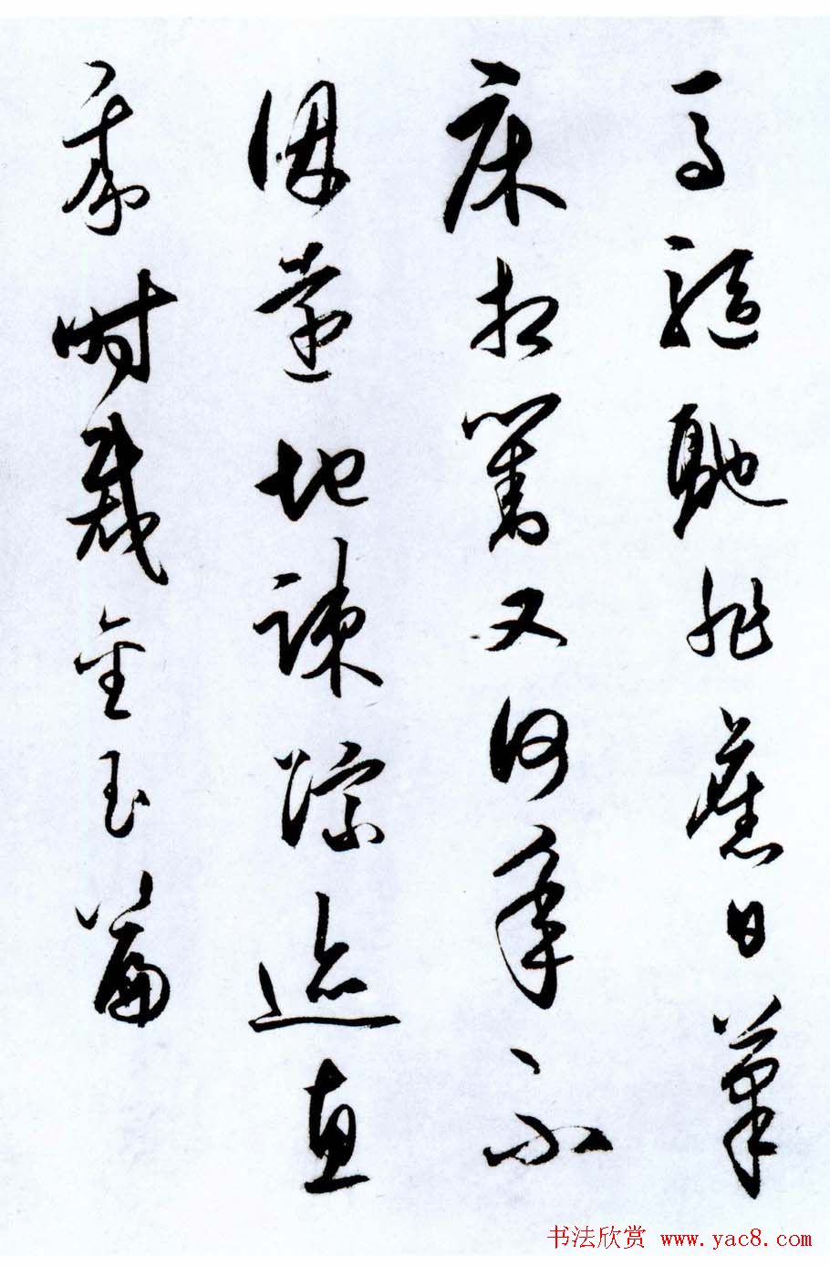 ʲ鷨ʫ