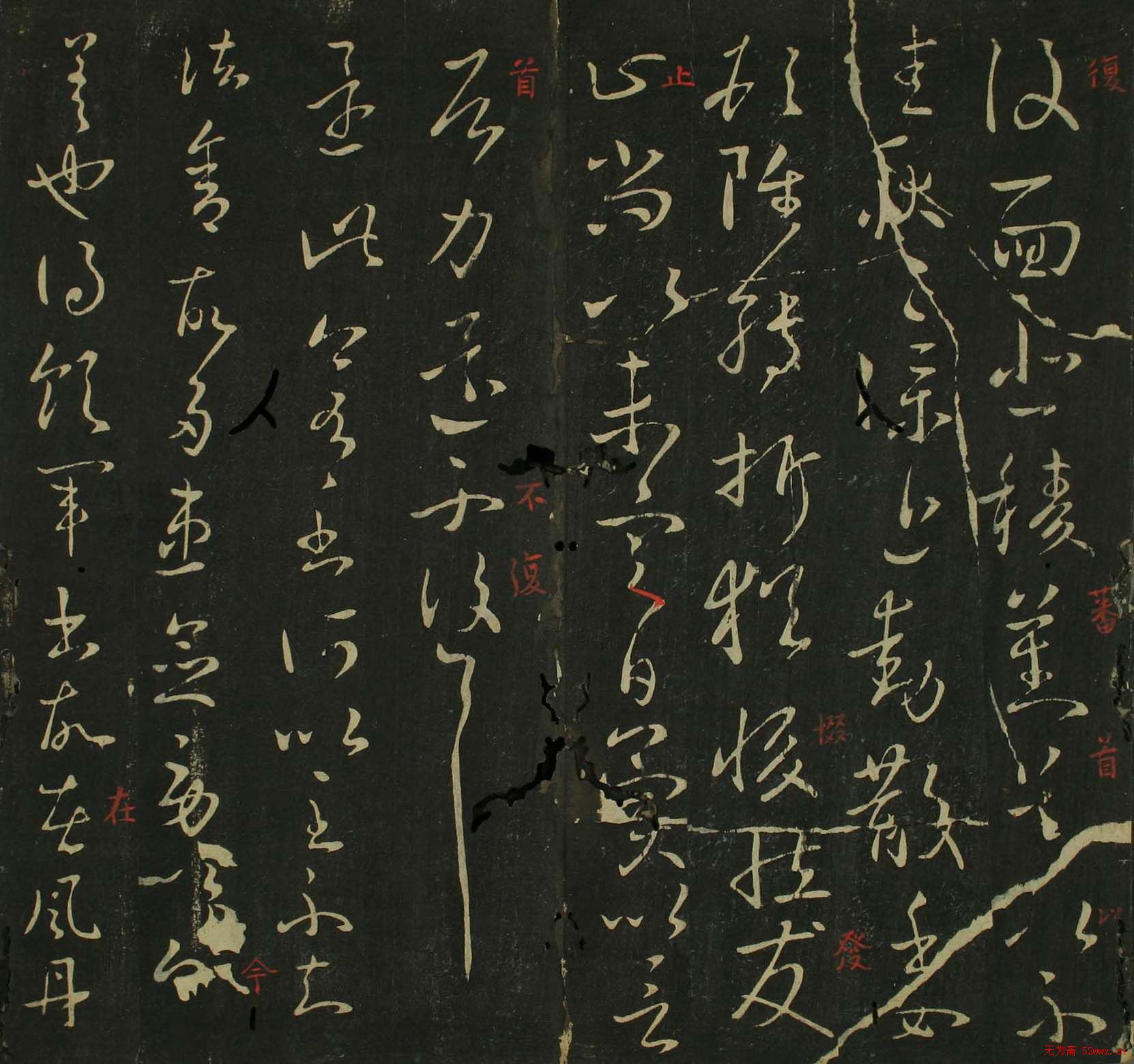 ֮в鷨