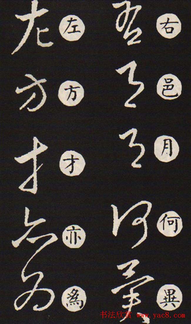 ֮ݾ衷