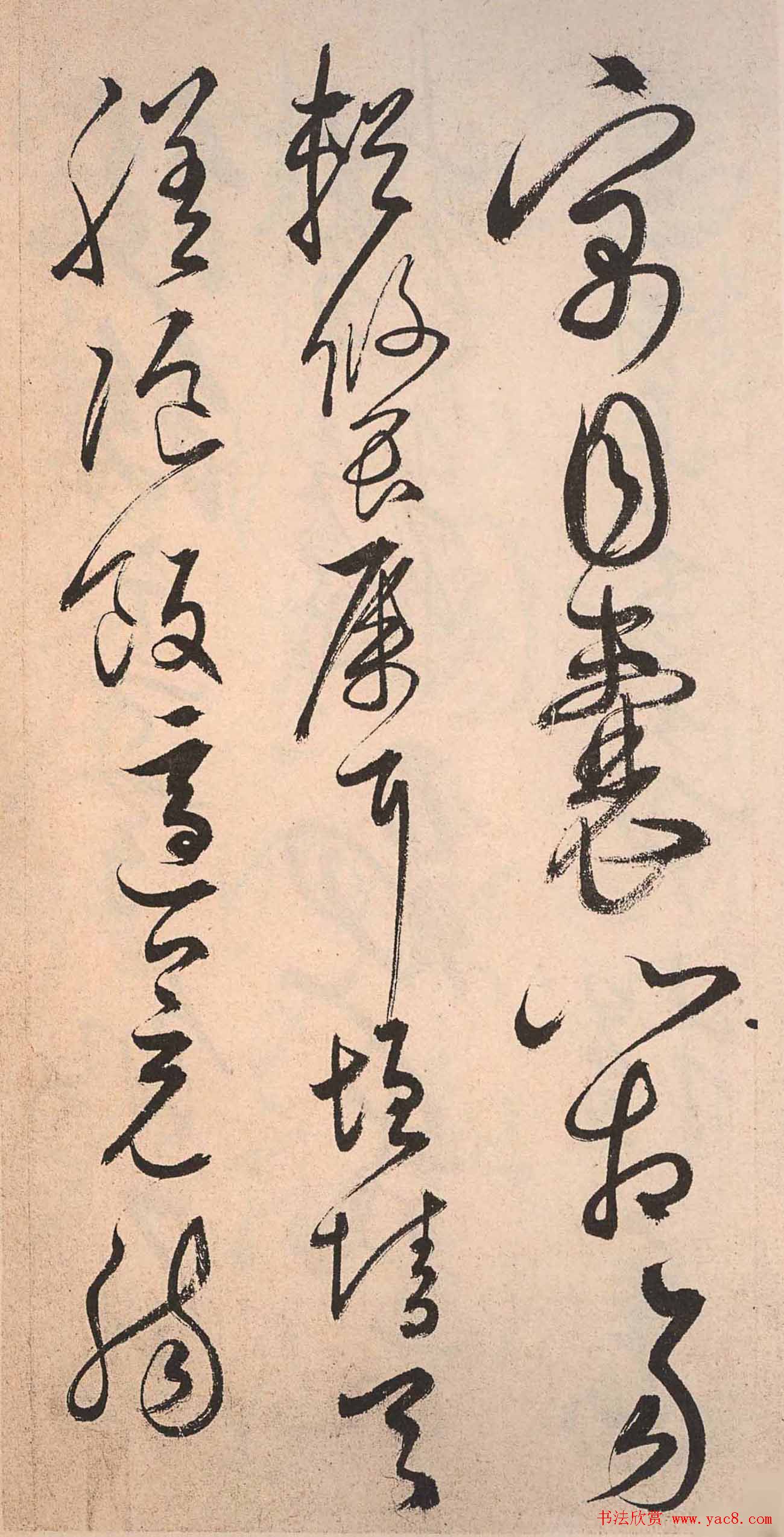 鷨:˲顶ǧġ