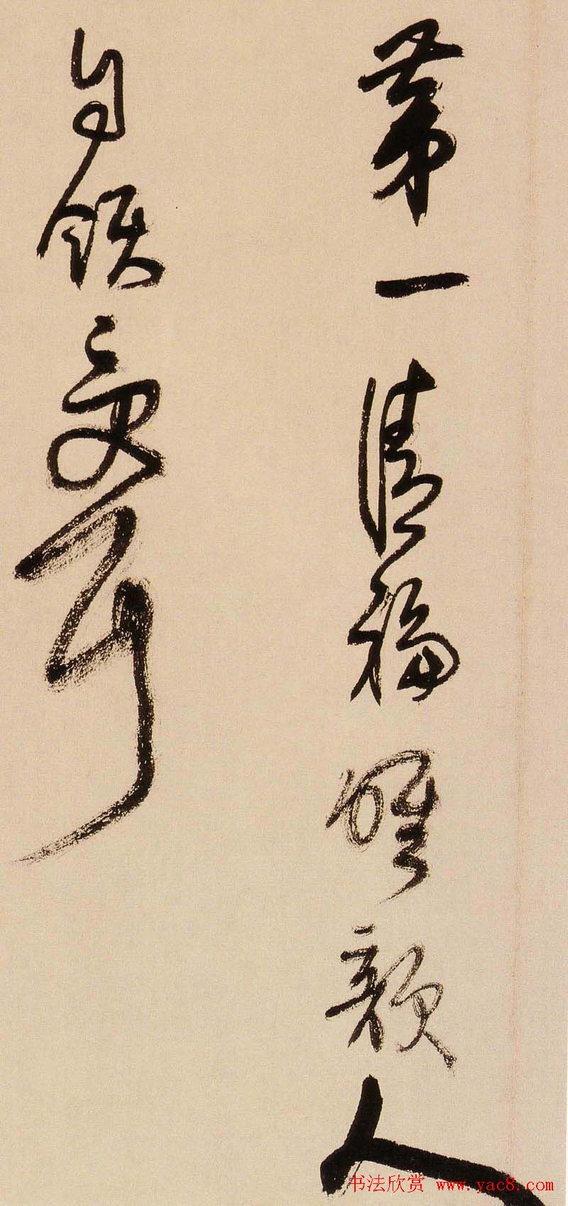 鷨˹漣