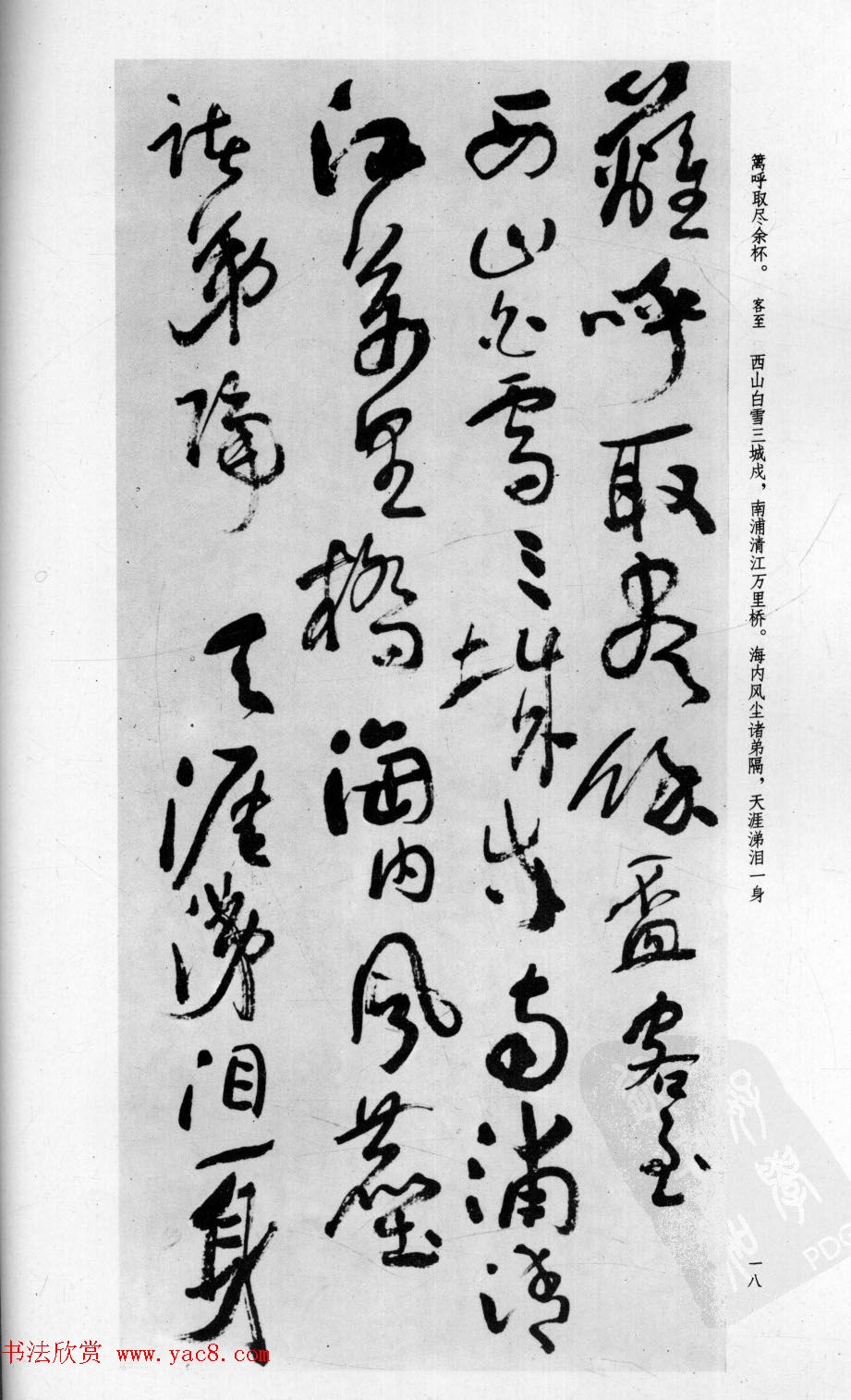 в鷨͡Ÿʫʮס