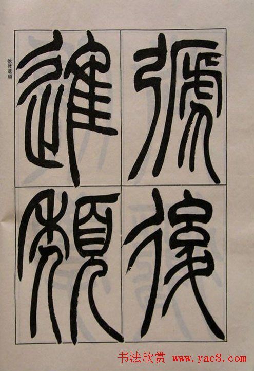 鷨֮͡׭֡