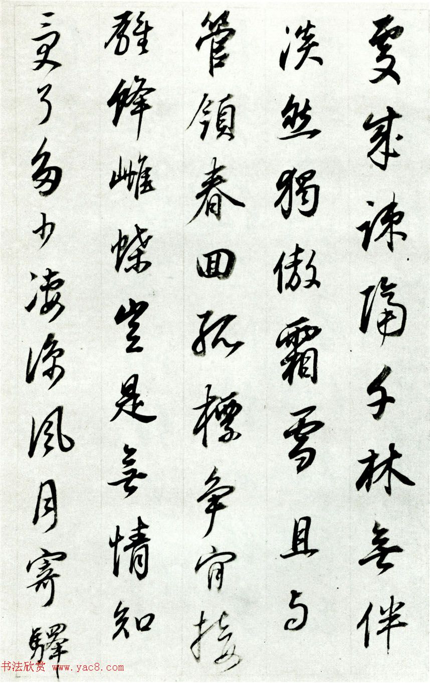 74顶˴ʲᡷ