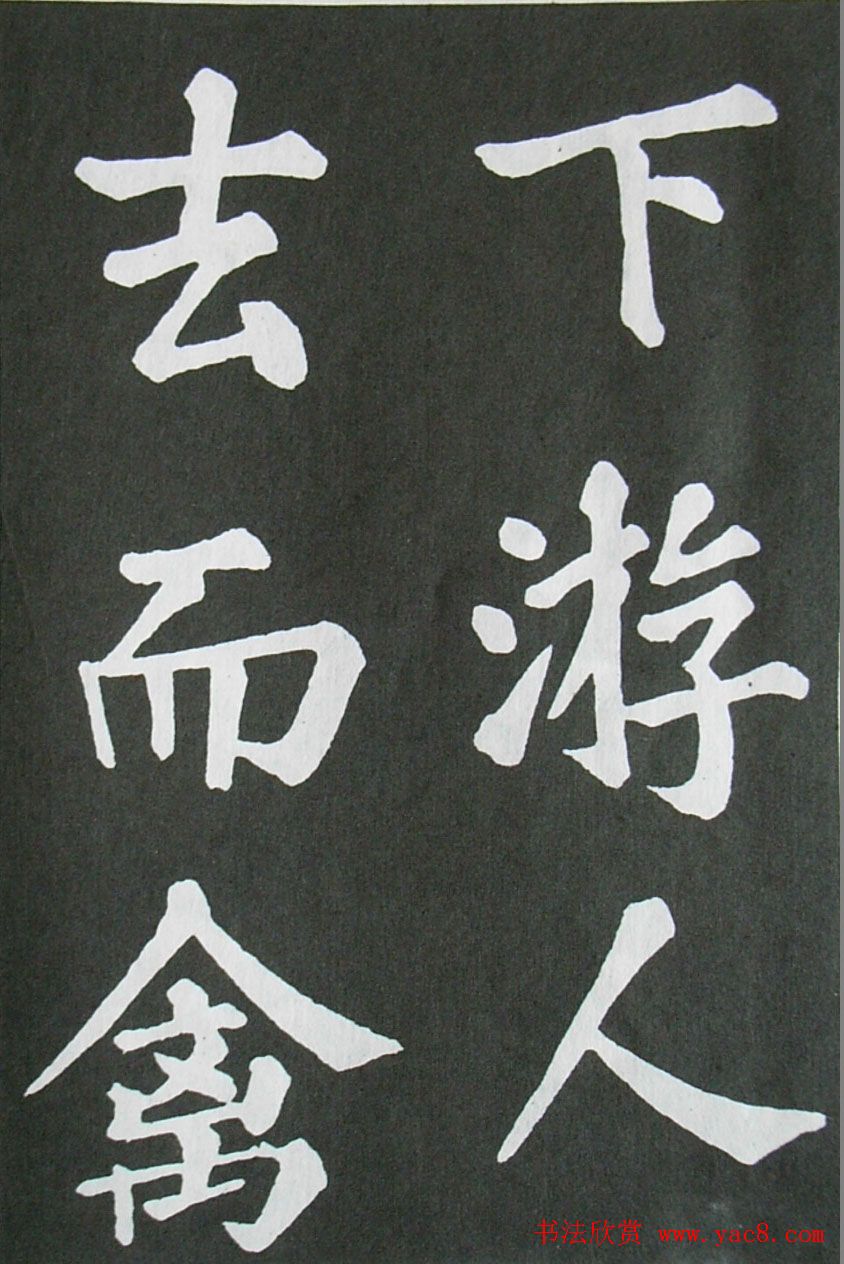 鷨ͤ͡ǡ