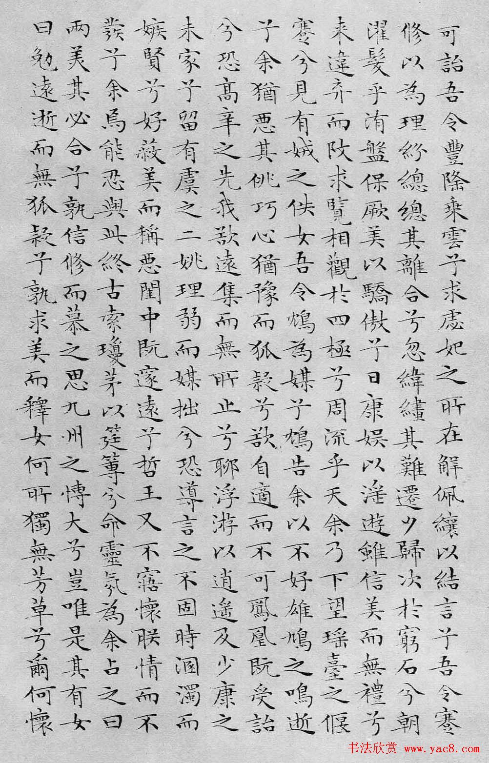 鷨ӬͷСɧ