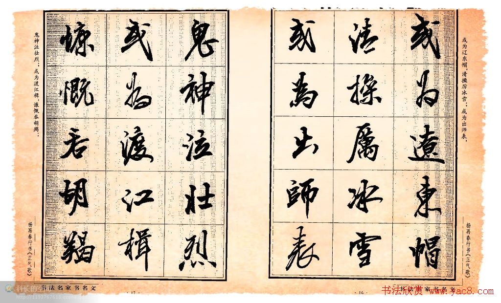 ٴ鷨͡衷