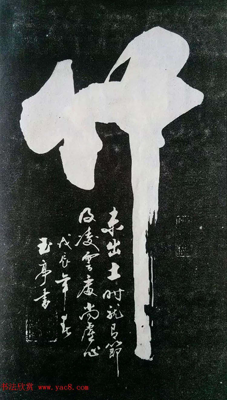 ͤ--鷨ؾ