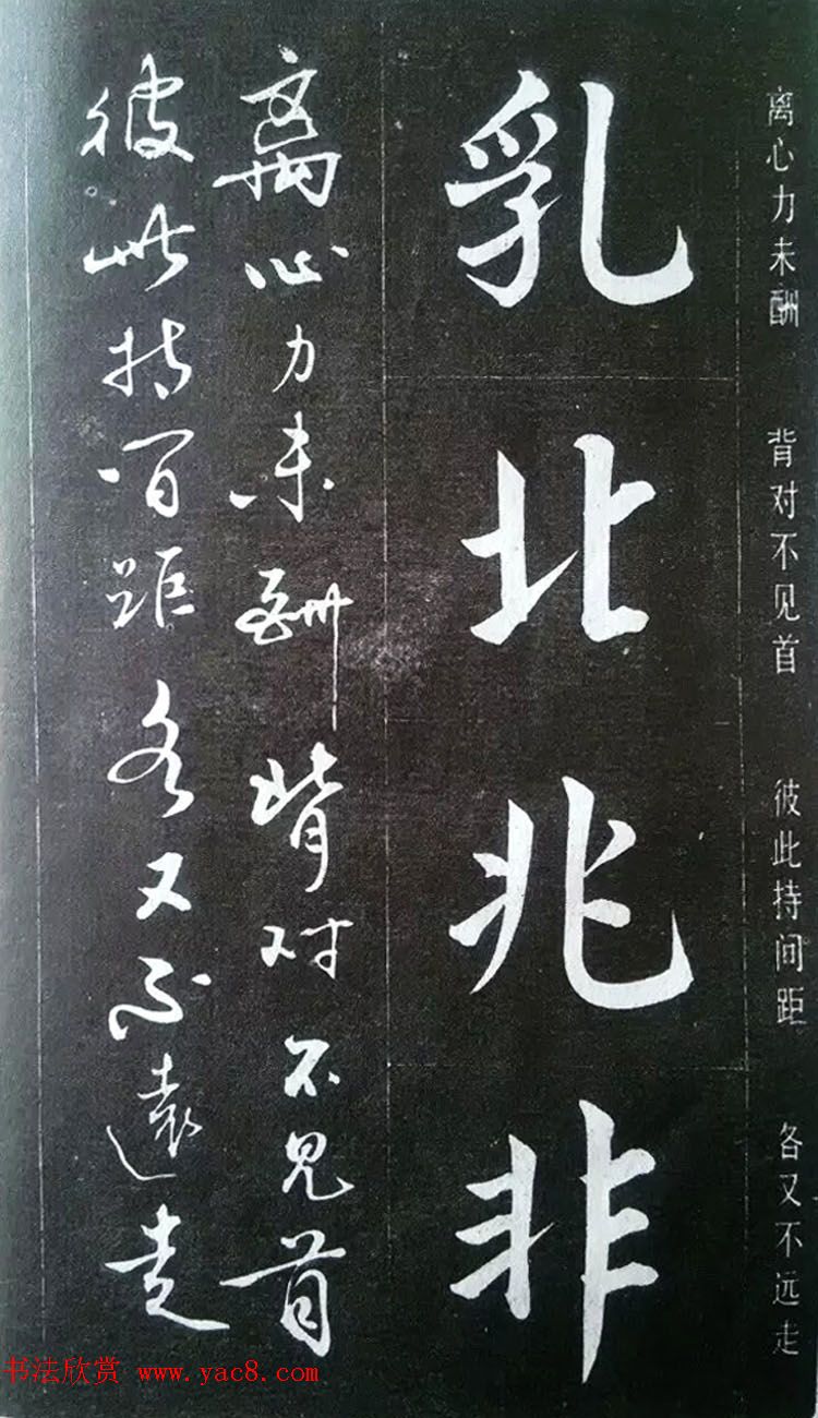 ͤ--鷨ؾ