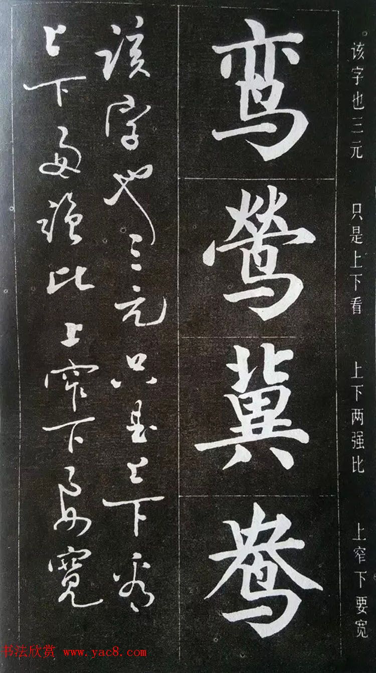 ͤ--鷨ؾ
