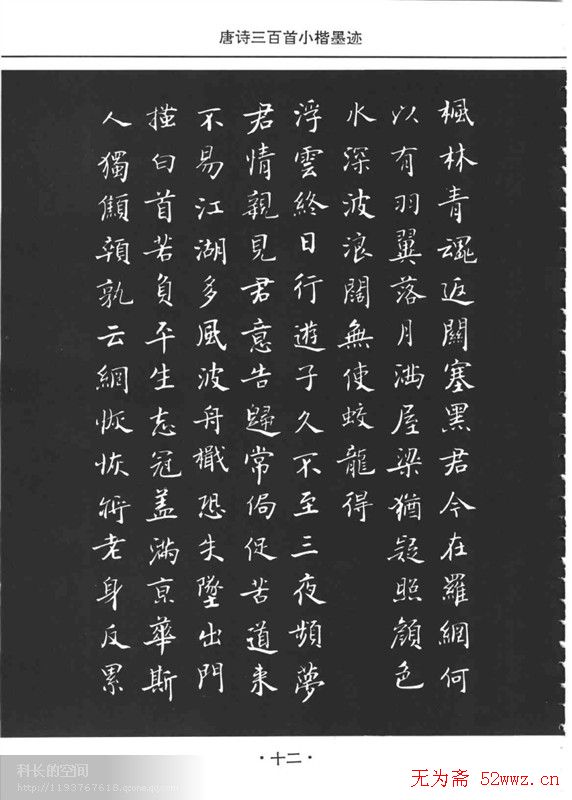 䡶ʫСī