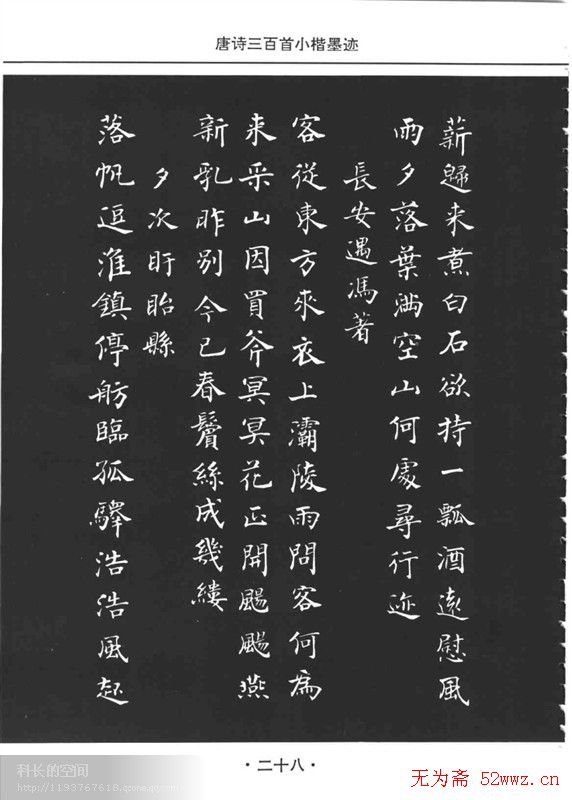 䡶ʫСī