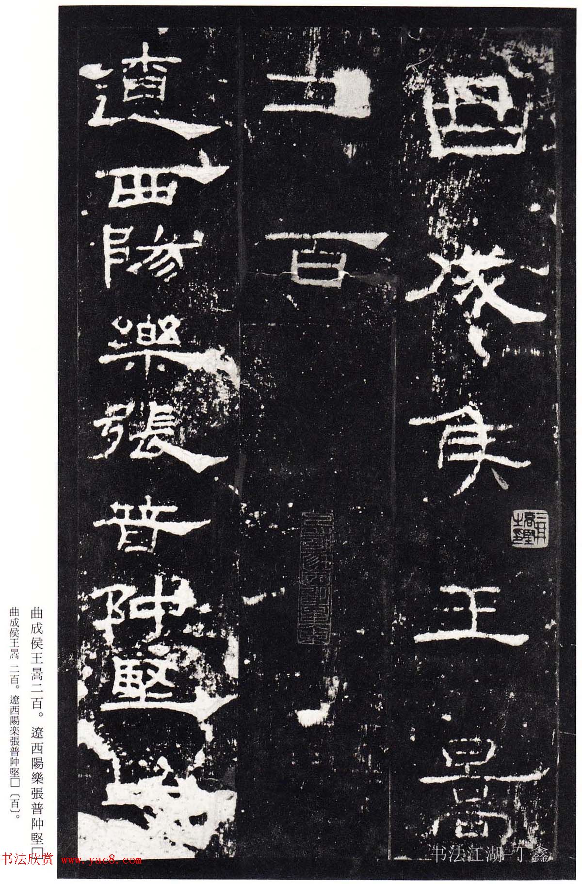 鿬ģ籾