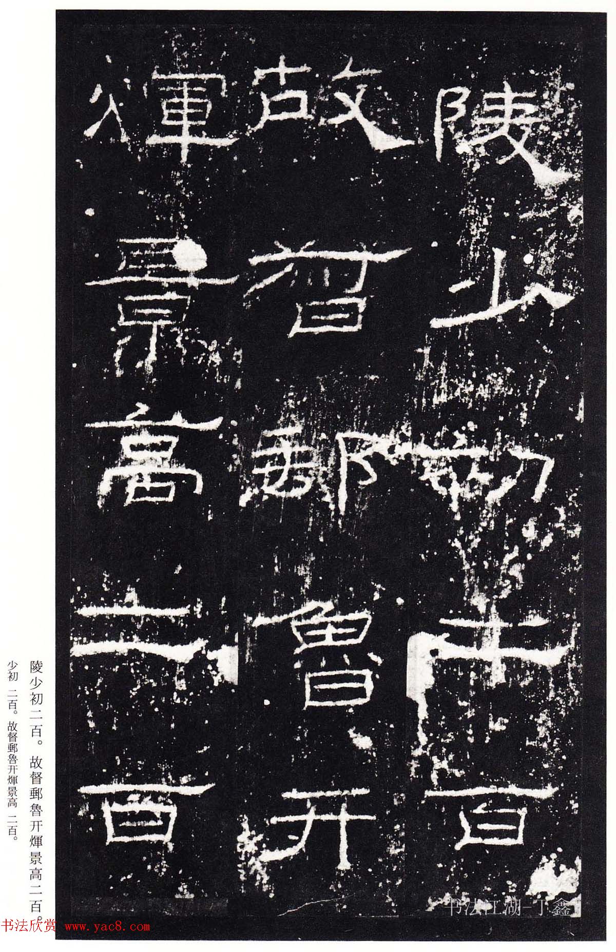 鿬ģ籾