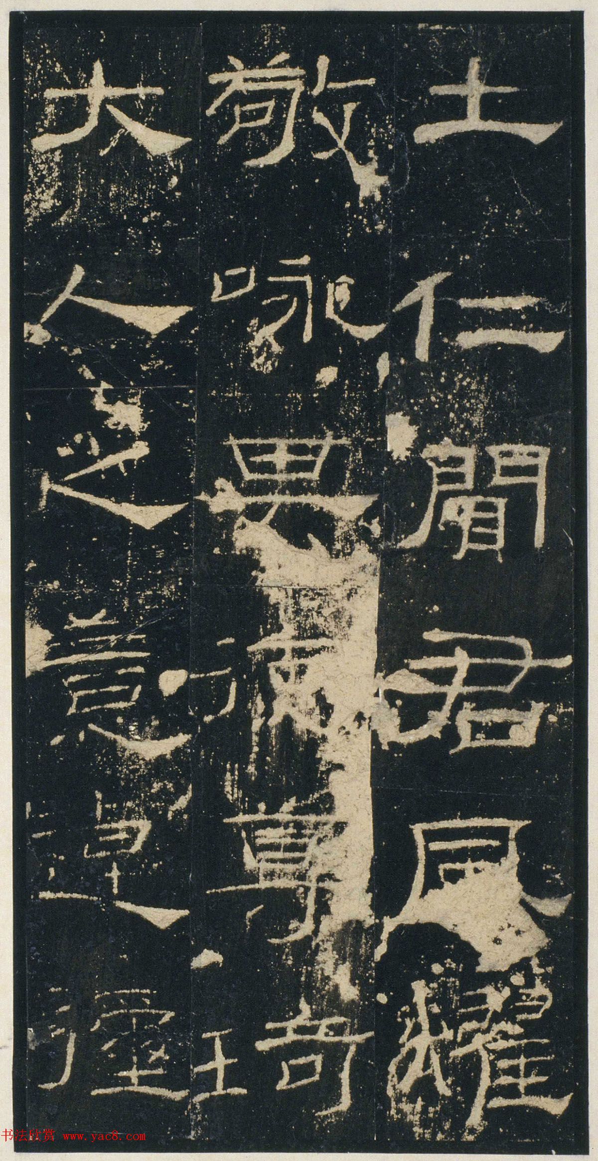鼫򡶺屾
