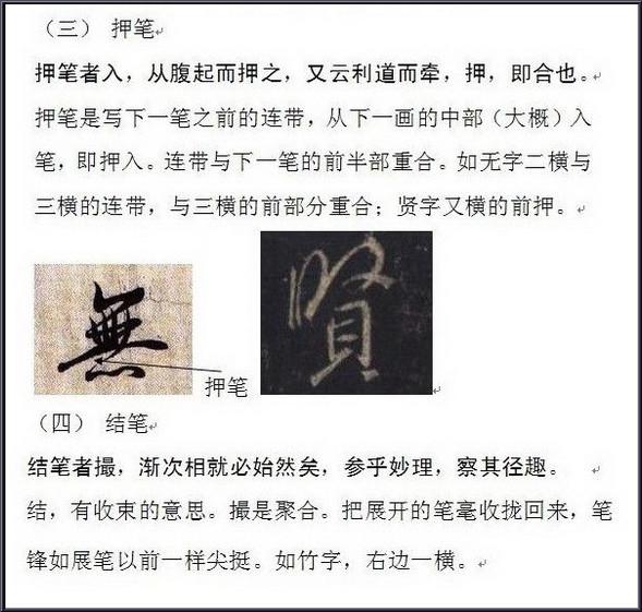 ֮鷨ʷ