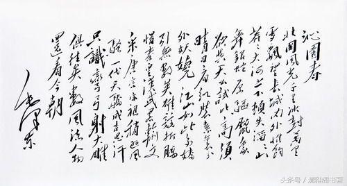 鷨оڣëϯ鷨Կ