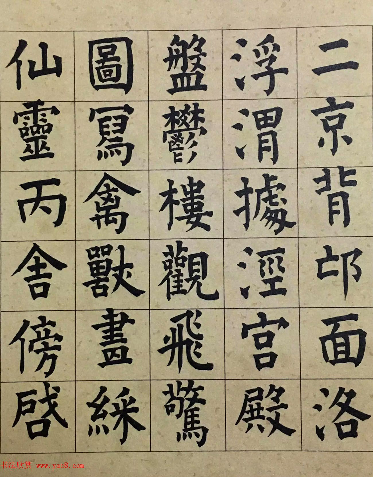 ף36忬ǧĲ