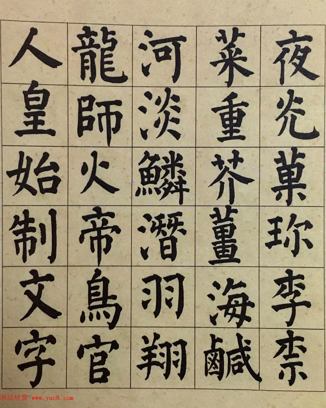 ף36忬ǧĲ