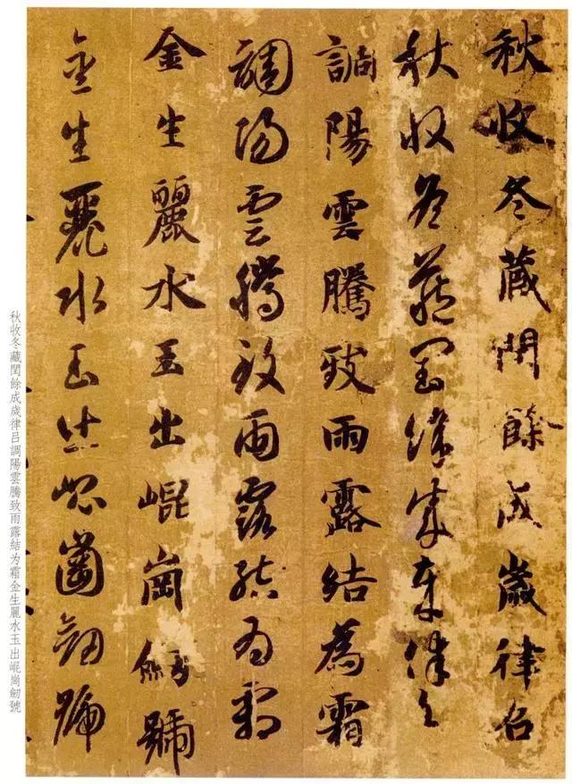 ʵ鷨鷨