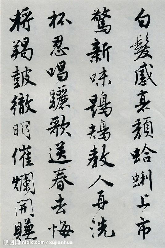  Ʋ 鷨
