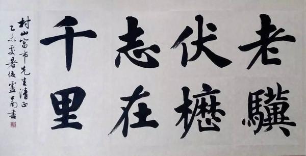 ¬鷨