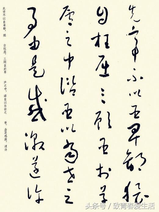 鷨ʥβ顶ʦ