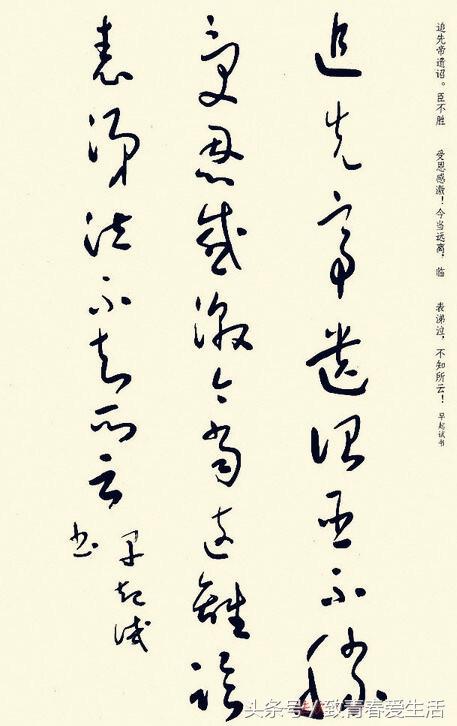 鷨ʥβ顶ʦ
