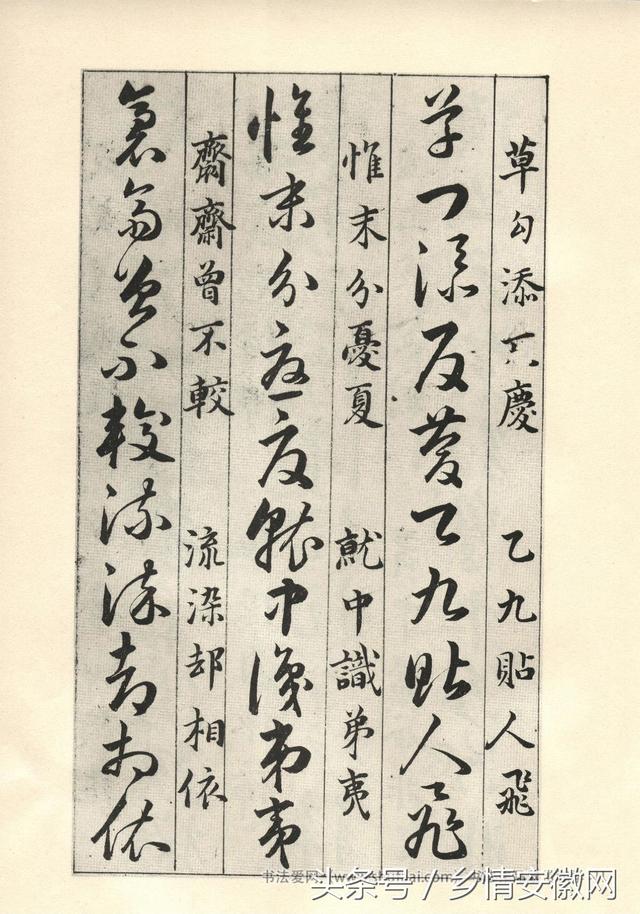 鷨ݾ衷